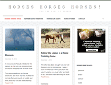 Tablet Screenshot of equismarts.com